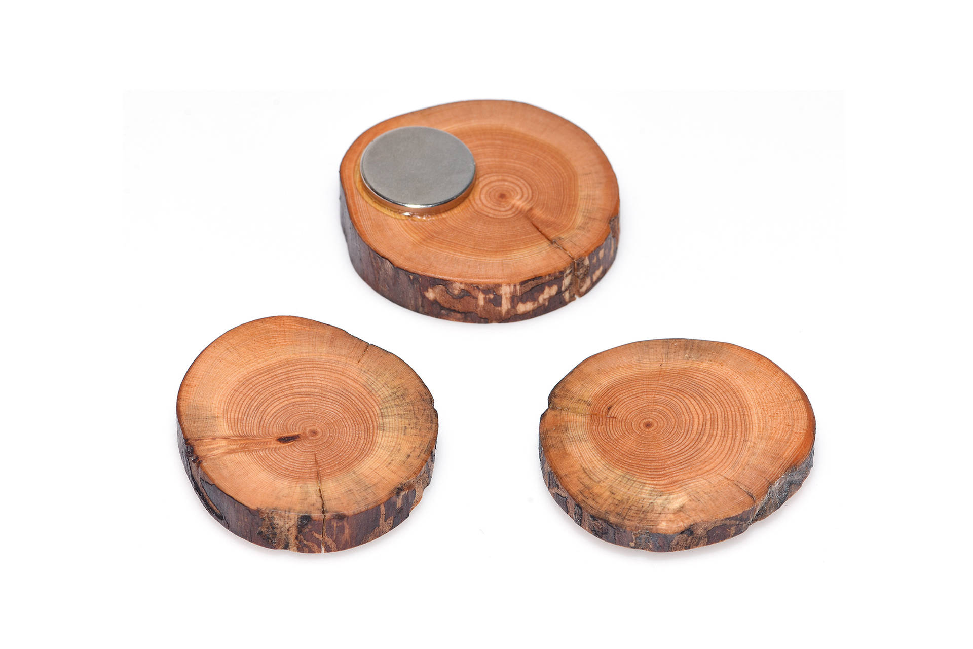 Magnete aus Pflaumenholz; Kühlschrankmagnete; Magnete für Magnettafeln; Holzarbeiten; Handgefertigtes aus Holz; Dekoratives aus Holz; Geschenkideen aus Holz; Geschenke aus Holz
